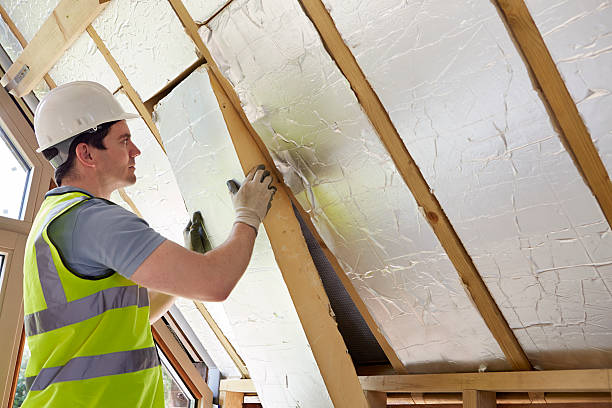 Best Insulation Maintenance and Repair in Eaton, OH