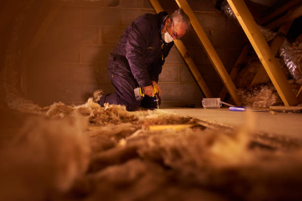 Best Geographic-Specific Insulation Services in Eaton, OH